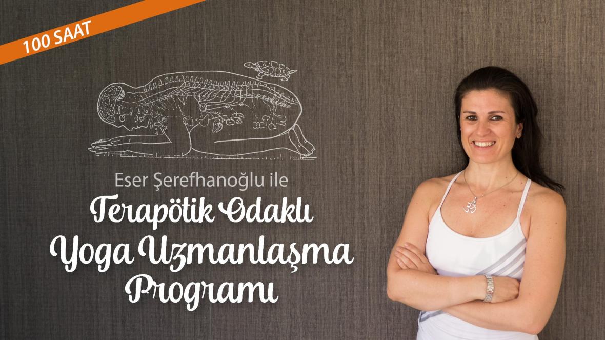 Terapötik Odaklı Yoga Uzmanlaşma Programı - Ankara