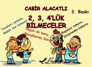 2, 3, 4'lük Bilmeceler