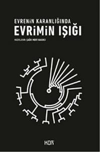 Evrimin Işığı: Evrenin Karanlığında