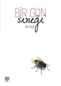 Bir Gün Sineği