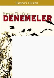 Hayata Yön Veren Denemeler