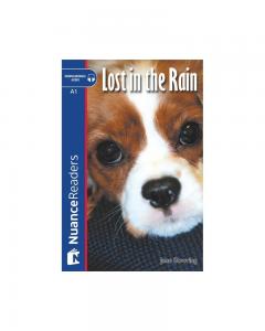 Lost In The Rain +Audio