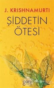 Şiddetin Ötesi
