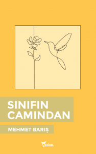 Sınıfın Camından