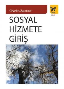 Sosyal Hizmete Giriş