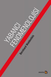 Yabancı Fenomenolojisi