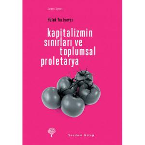KAPİTALİZMİN SINIRLARI VE TOPLUMSAL PROLETARYA